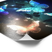 Impression Photo Papillon de nuit (Coin)