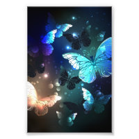 Papillon de nuit voltigeant