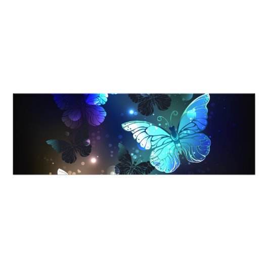 Impression Photo Papillon de nuit voltigeant (Devant)