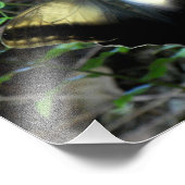 Impression Photo Papillon Dusty Gold (Coin)