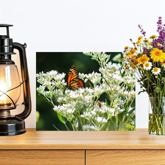 Impression Photo Papillon et abeilles sur la Fleur de Boneset Blanc