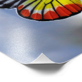 Impression Photo Papillon jaune rouge Peint Jezebel (Coin)