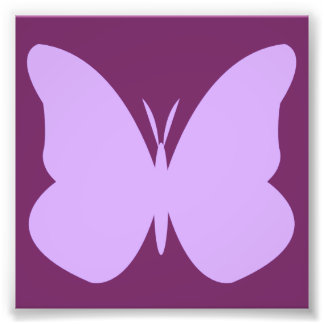 Impression Photo papillon lilas