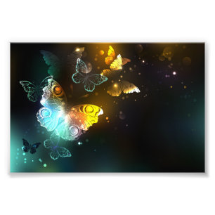 Impression Photo Papillon lumineux et papillons de nuit