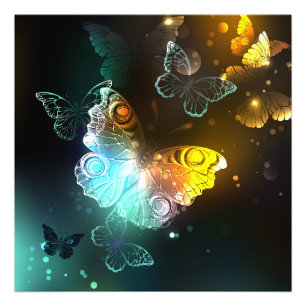 Impression Photo Papillon lumineux et papillons de nuit