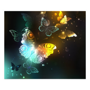 Impression Photo Papillon lumineux et papillons de nuit