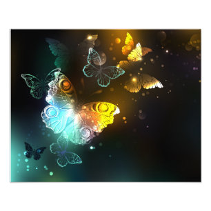 Impression Photo Papillon lumineux et papillons de nuit