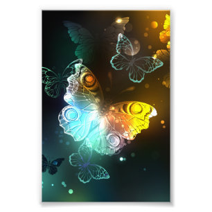 Impression Photo Papillon lumineux et papillons de nuit
