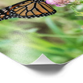 Impression Photo Papillon Monarque (Coin)