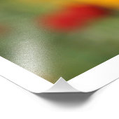 Impression Photo Papillon monarque à la recherche de pollen (Coin)