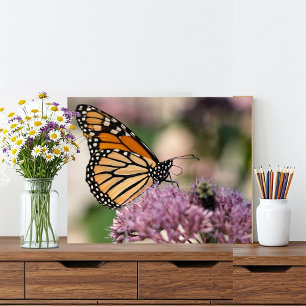 Impression Photo Papillon monarque et bourdon sur Fleur sauvage