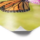 Impression Photo Papillon Monarque sur chardon (Coin)