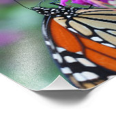 Impression Photo Papillon Monarque sur Fleur 10x8 Nature (Coin)