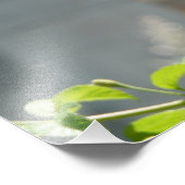 Impression Photo Papillon monarque sur le papillon rouge Bush (Coin)