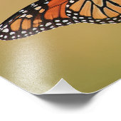 Impression Photo Papillon monarque sur tournesol (Coin)