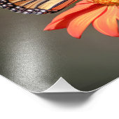Impression Photo Papillon Monarque sur une fleur d'orange (Coin)