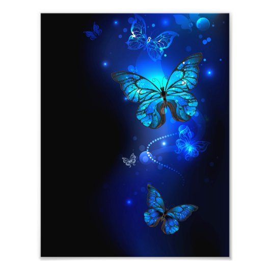 Impression Photo Papillon Morpho sur fond sombre (Devant)