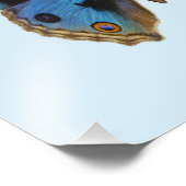 Impression Photo Papillon Pansy Bleu (Coin)