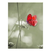 Impression photo papillon rouge (Devant)