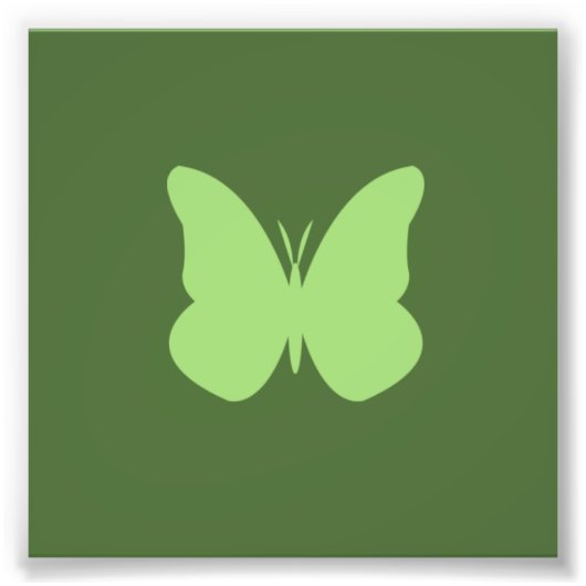 Impression Photo papillon sauge (Devant)