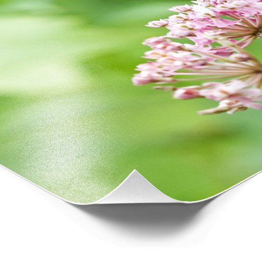 Impression Photo Papillon Sur Une Fleur (Coin)