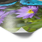 Impression Photo Papillon sur une fleur jaune (Coin)