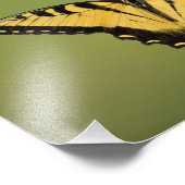 Impression Photo Papillon Swallowtail (Coin)