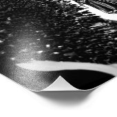 Impression Photo papillon timide blacq (Coin)