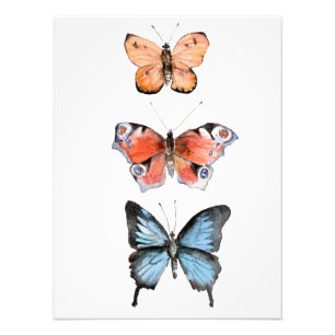 Impression Photo Papillons