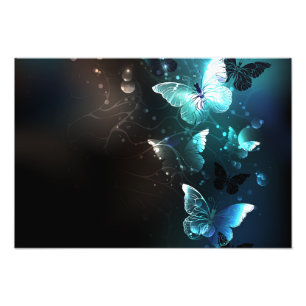 Impression Photo Papillons de nuit