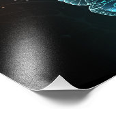 Impression Photo Papillons de nuit (Coin)