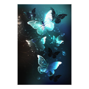 Impression Photo Papillons de nuit