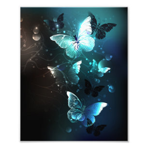 Impression Photo Papillons de nuit