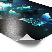 Impression Photo Papillons de nuit (Coin)