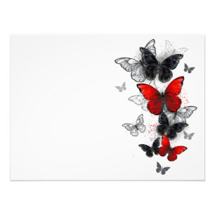 Impression Photo Papillons noirs et rouges volants
