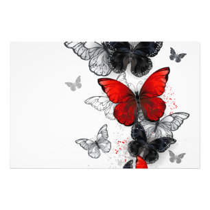Impression Photo Papillons noirs et rouges volants
