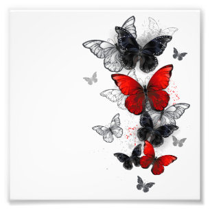 Impression Photo Papillons noirs et rouges volants