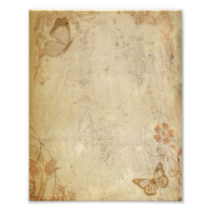 Impression Photo Papillons vintages