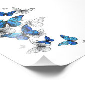 Impression Photo Papillons volants bleus Morpho (Coin)