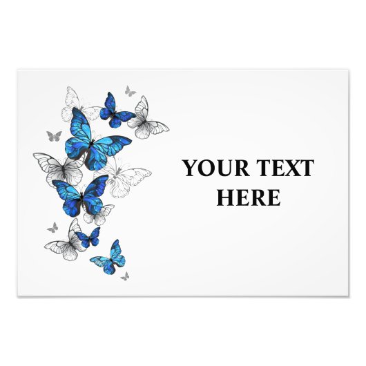 Impression Photo Papillons volants bleus Morpho (Devant)