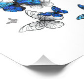 Impression Photo Papillons volants bleus Morpho (Coin)