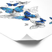 Impression Photo Papillons volants bleus Morpho (Coin)
