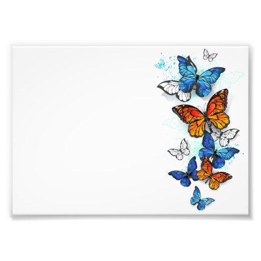 Impression Photo Papillons volants Morpho et Monarch (Devant)