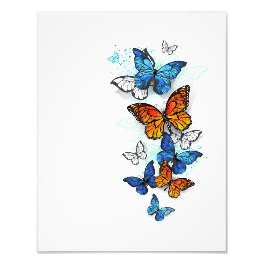 Impression Photo Papillons volants Morpho et Monarch (Devant)