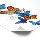 Impression Photo Papillons volants Morpho et Monarch (Coin)