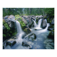 Paradise Creek coule sur les pentes du Mont