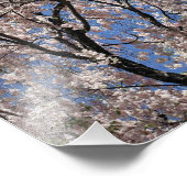 Impression Photo Parapluie de fleurs du printemps (Coin)