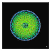 Impression Photo Parapluie de méduses (Devant)