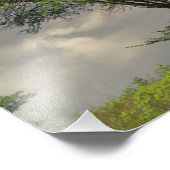 Impression Photo Parapluie Thorn Acacia, Acacia tortilis et (Coin)