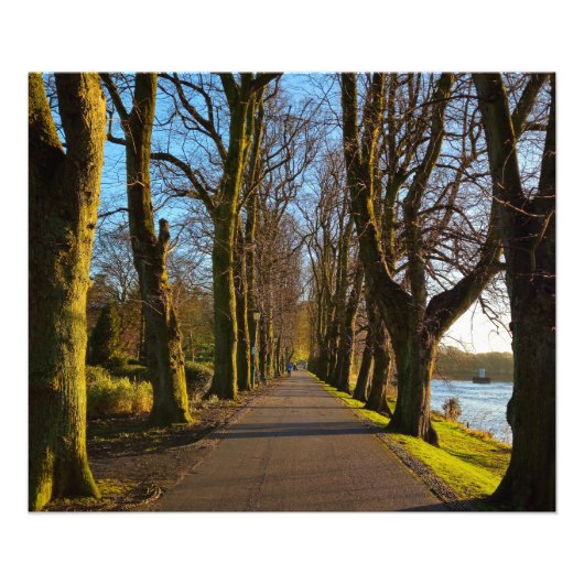 Impression Photo Parc (Devant)
